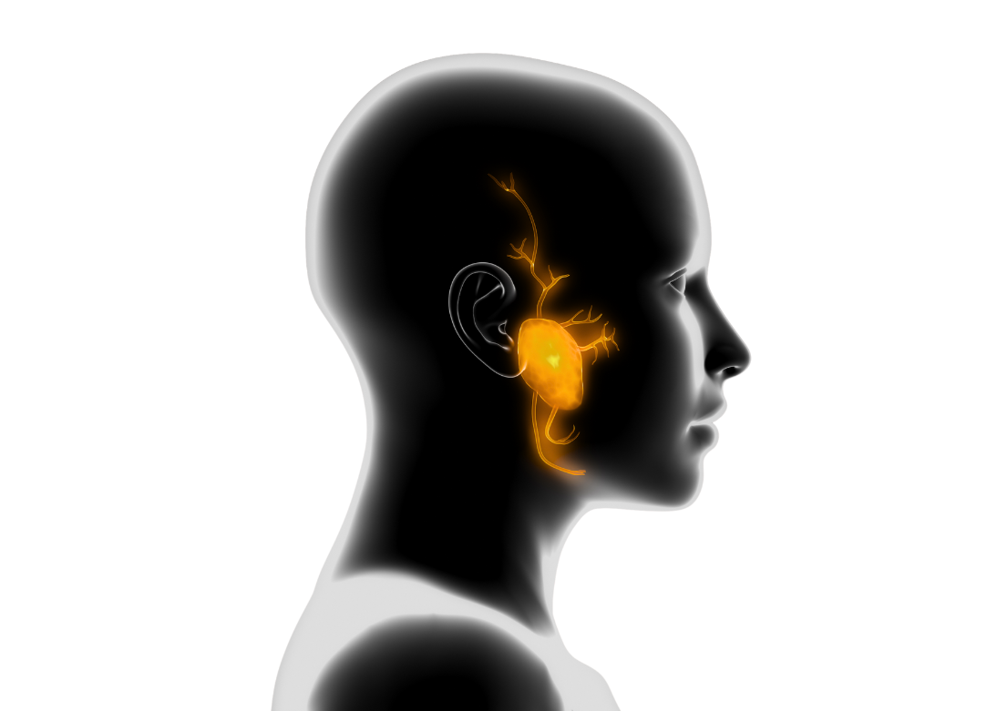Salivary Gland & Skull Base Tumors